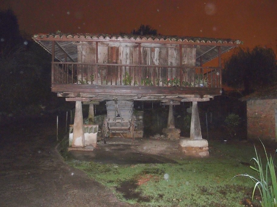 PB024578.jpg