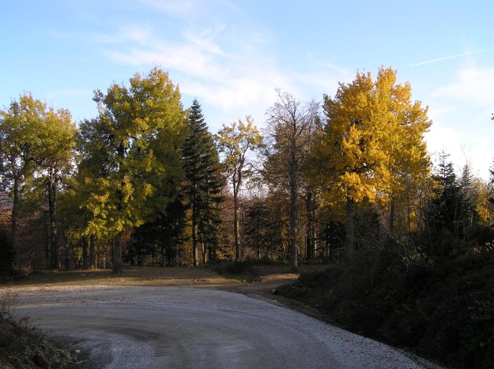 PB040173.jpg