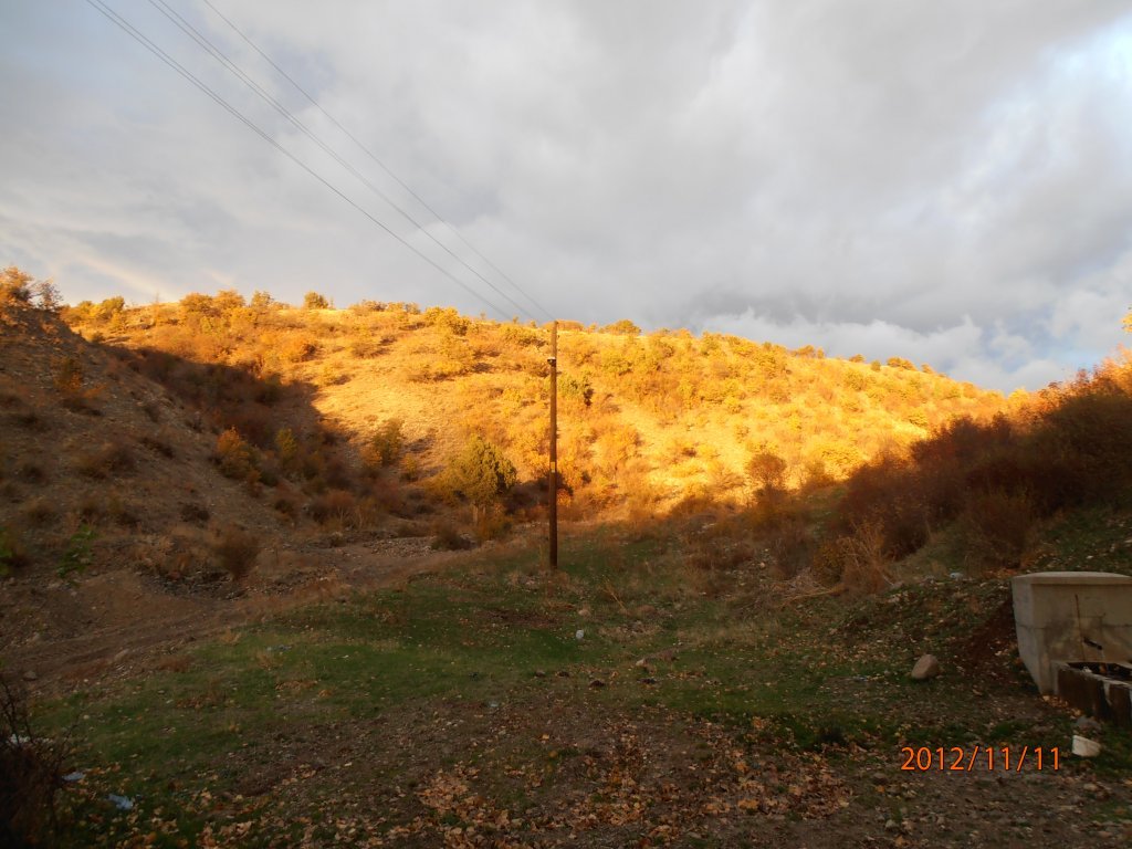 PB110545.JPG