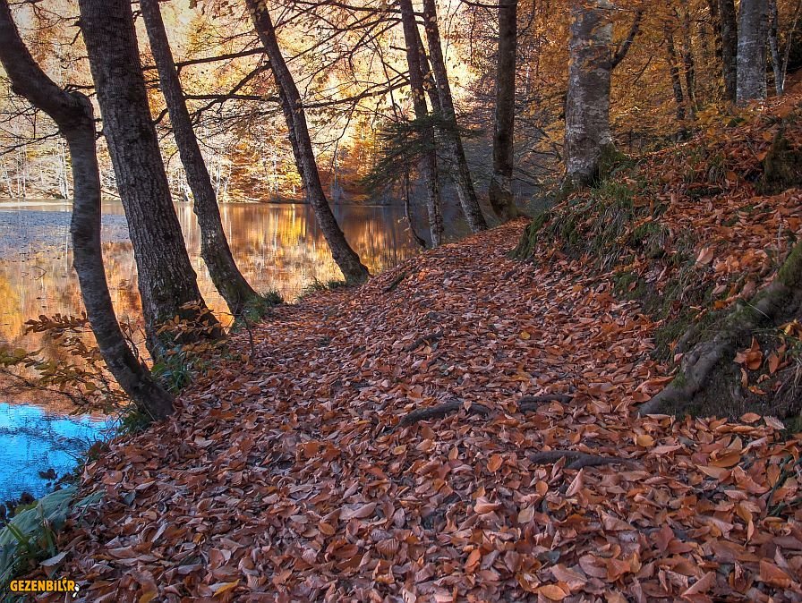 PB170192_3_4_tonemapped.jpg