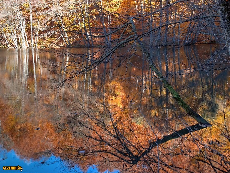 PB170201_2_3_tonemapped.jpg