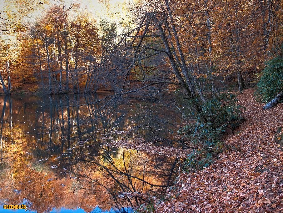PB170209_10_11_tonemapped.jpg
