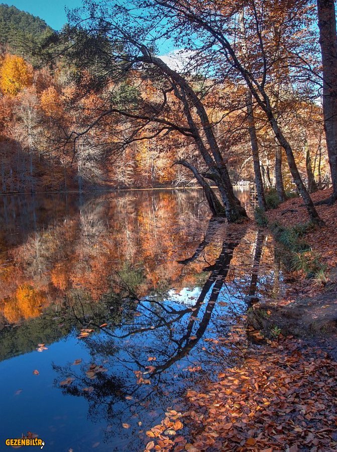 PB170288_89_90_tonemapped.jpg
