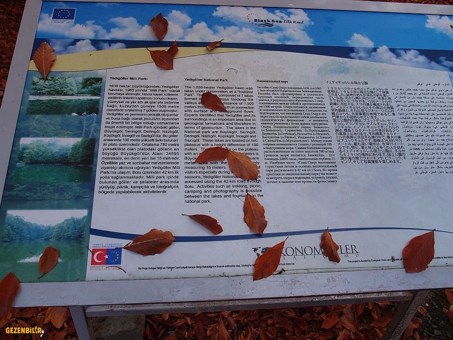 PB179952.jpg