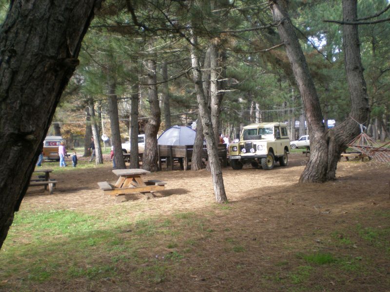 PB180021.jpg