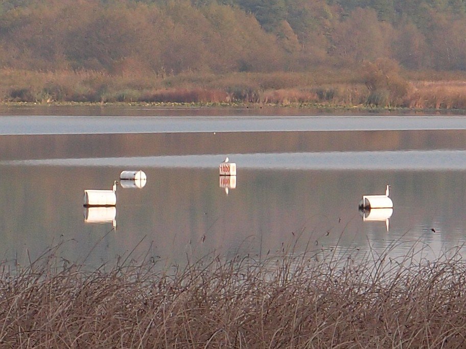 PB185597.jpg