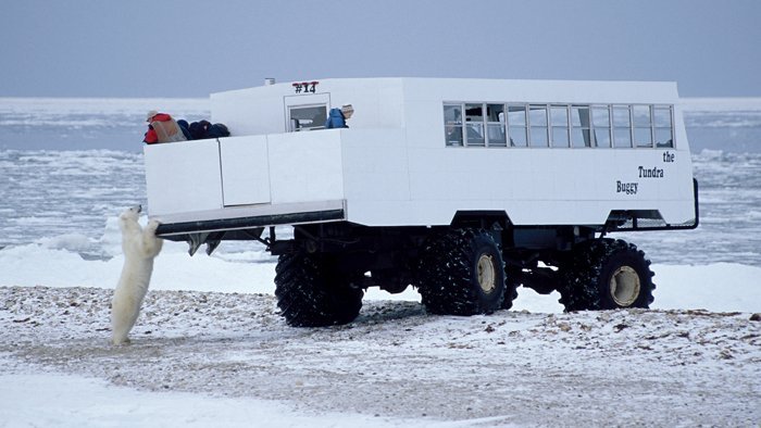 pbatbuggydeck28x12small.jpg