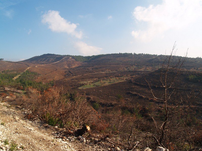 PC063435.jpg