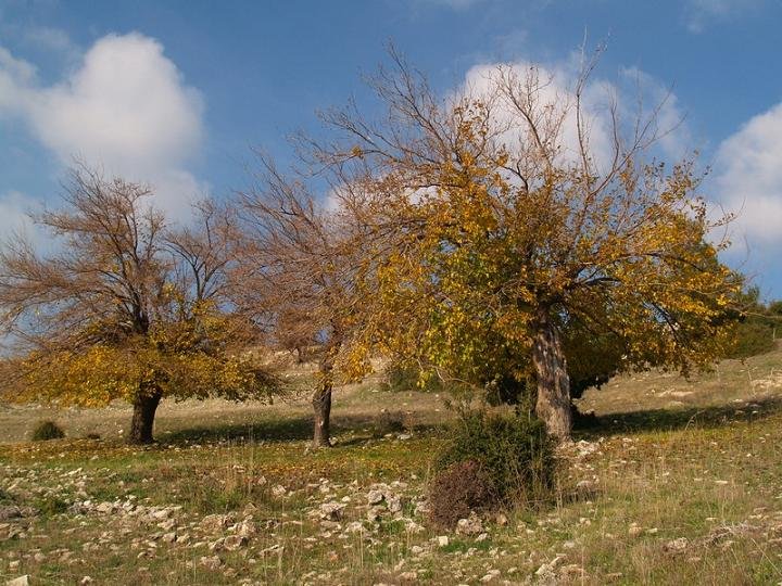 PC063467.jpg