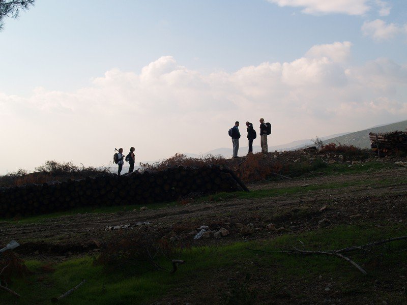 PC063485.jpg