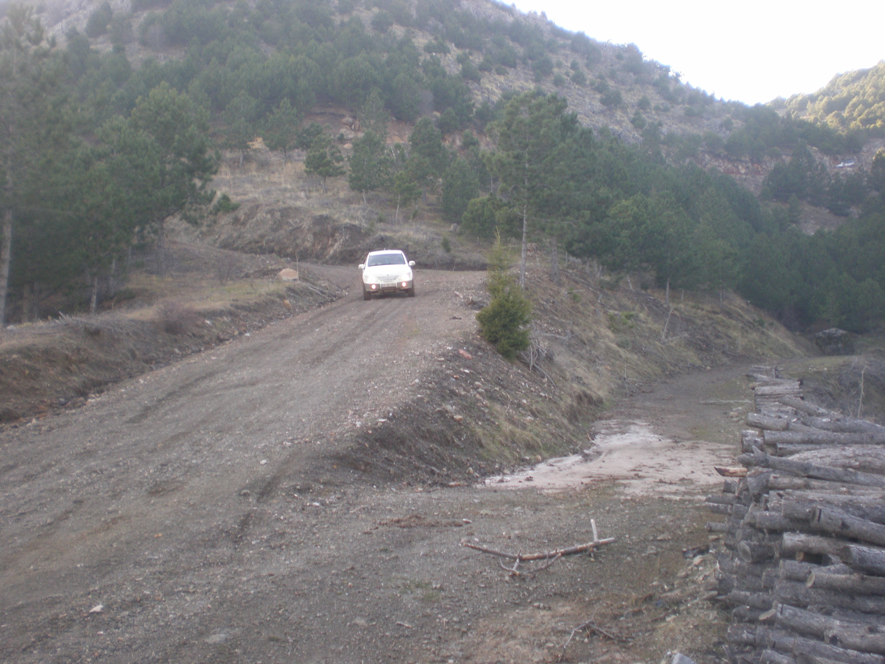 PC110024.jpg