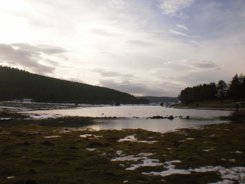 PC130052.jpg