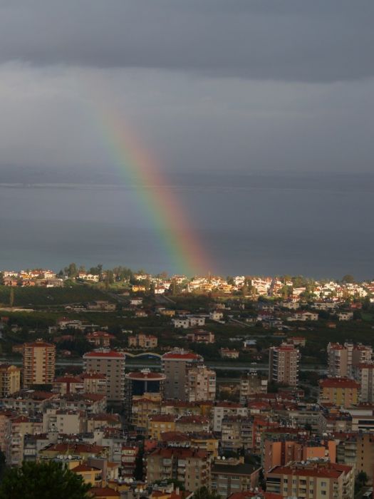 PC192033.jpg