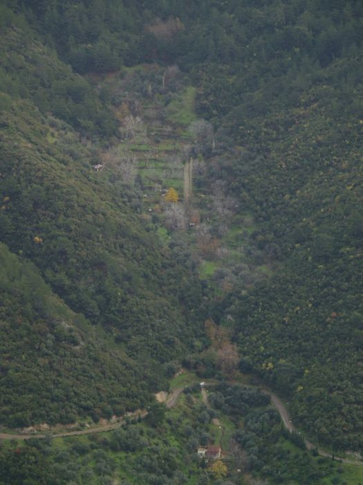 PC192114.jpg