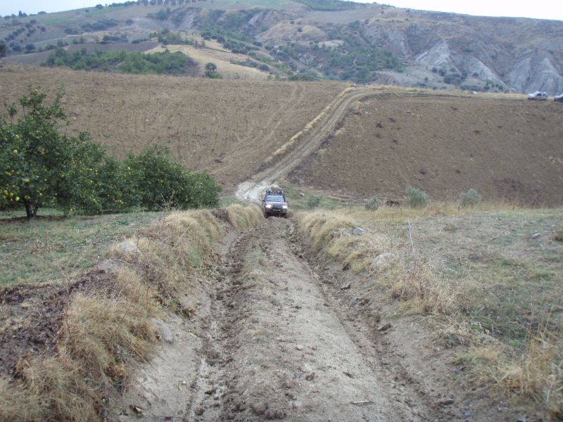 PC195875.jpg
