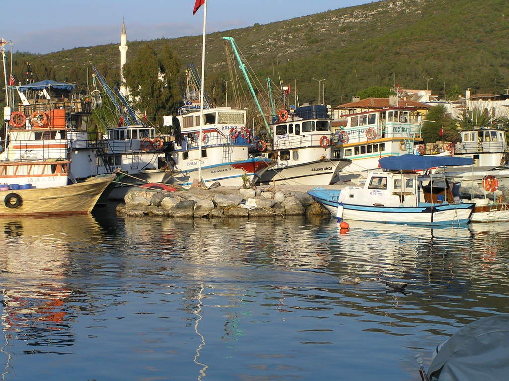 PC310076.jpg