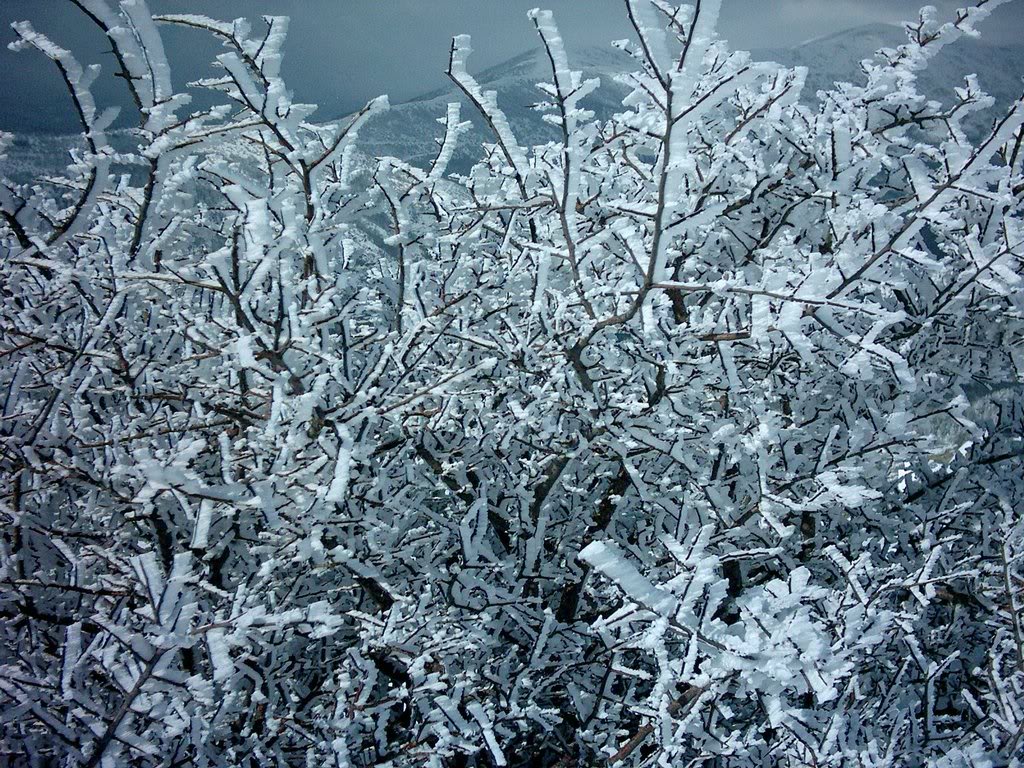 PHOT0126.jpg