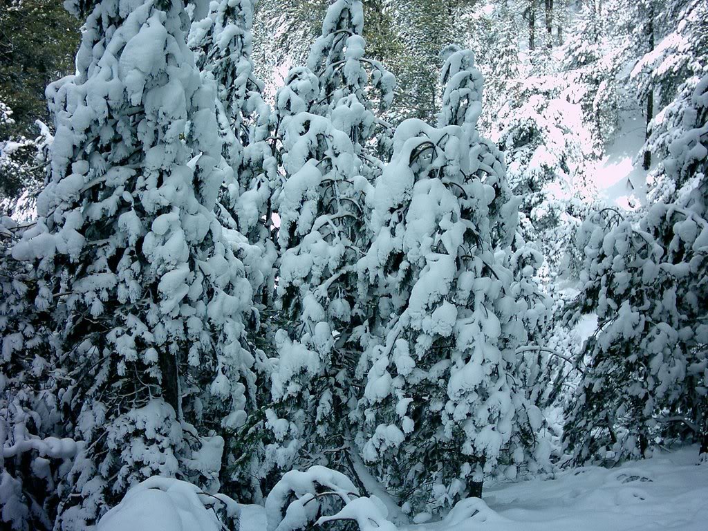 PHOT0129.jpg