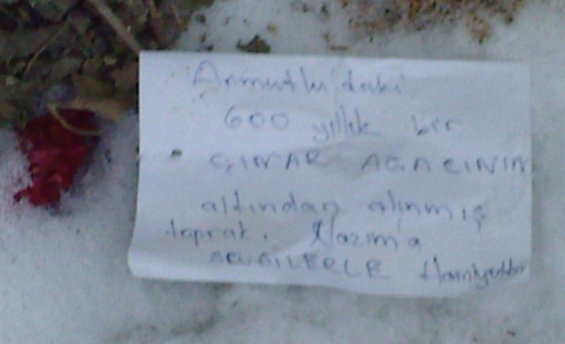 Photo-0013.jpg
