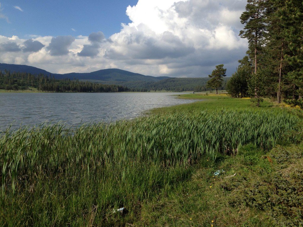 photo2.jpg