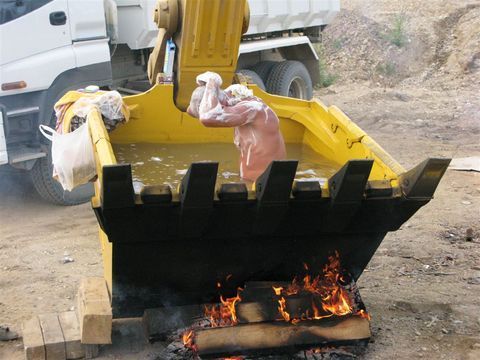 pic01954.jpg