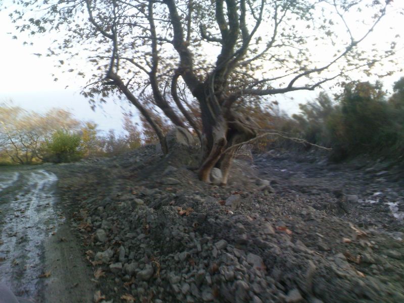 PIC128.jpg