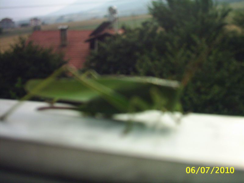PIC_0001.jpg
