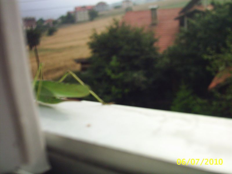 PIC_0002.jpg