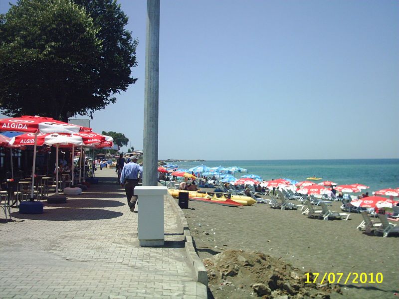 PIC_0002.jpg