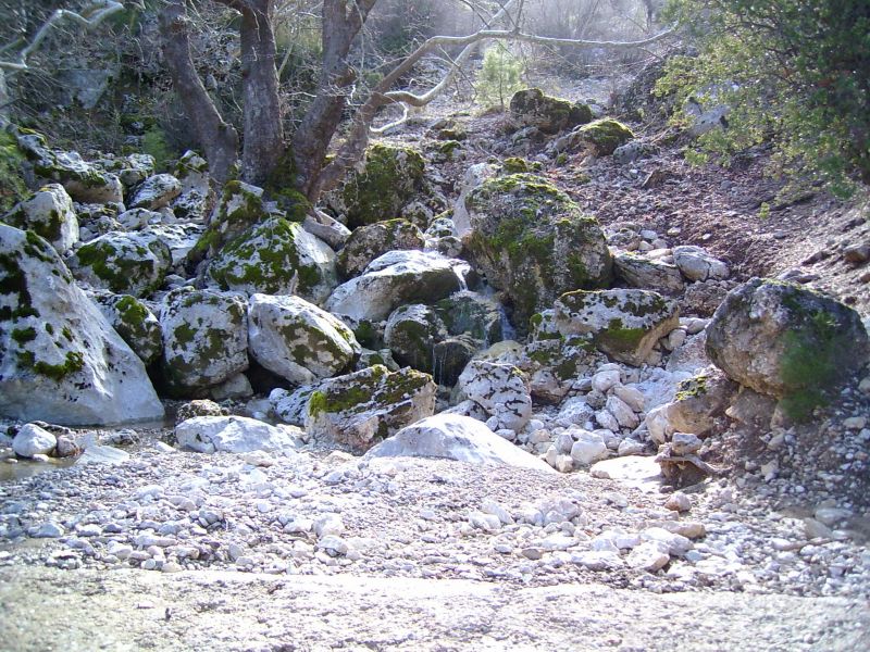 PIC_0005.jpg