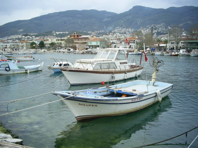 PIC_0005.jpg