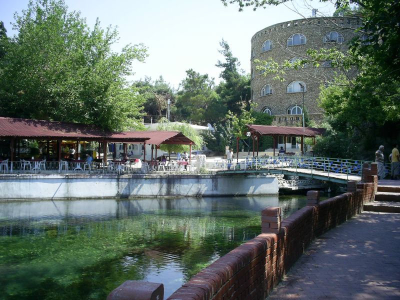 PIC_0006.jpg