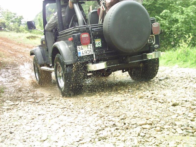 PIC_0012-1[1].jpg