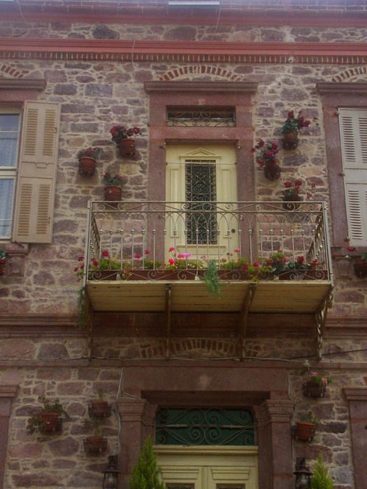 PIC_0012.jpg