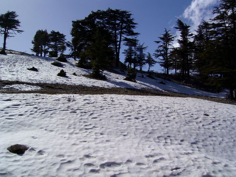 PIC_0013.jpg