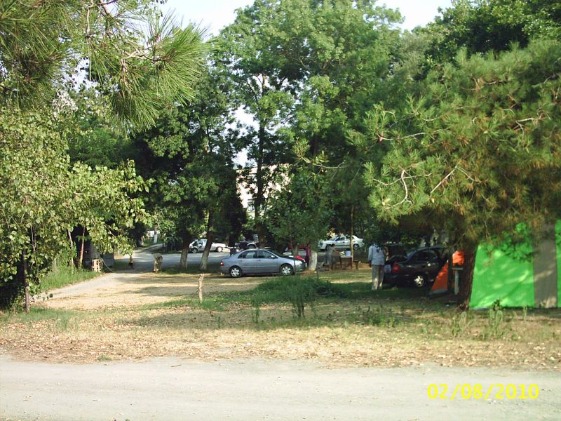 PIC_0075.jpg