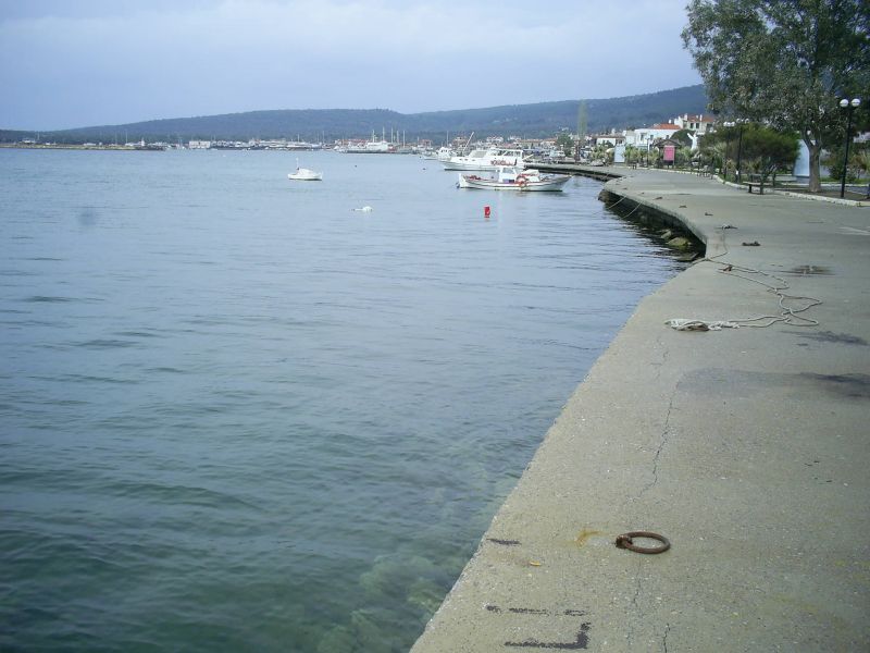 PIC_0106.jpg