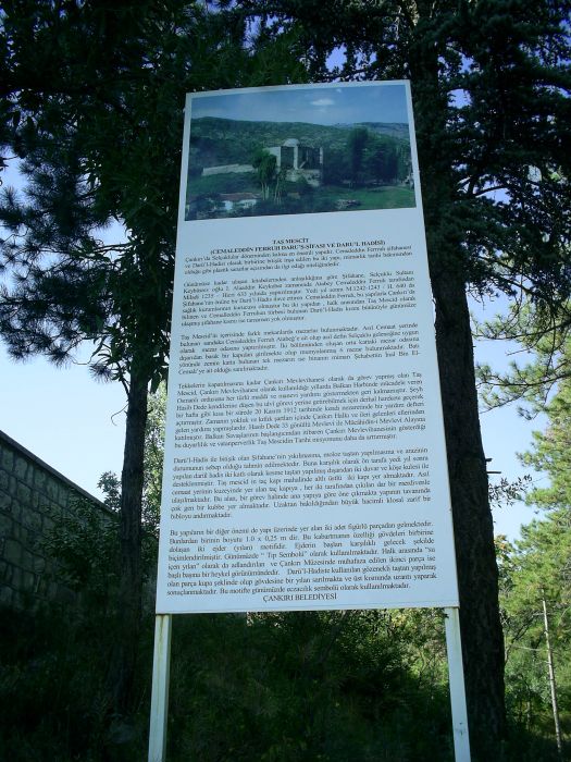 PIC_0131.jpg