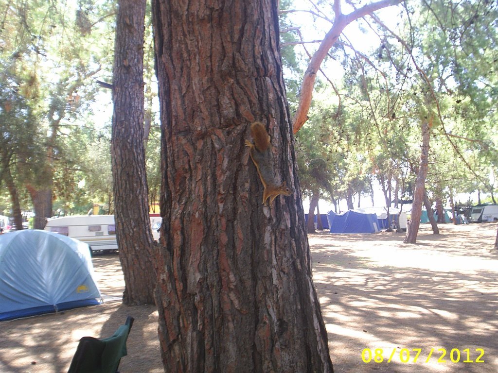 PIC_0139.JPG