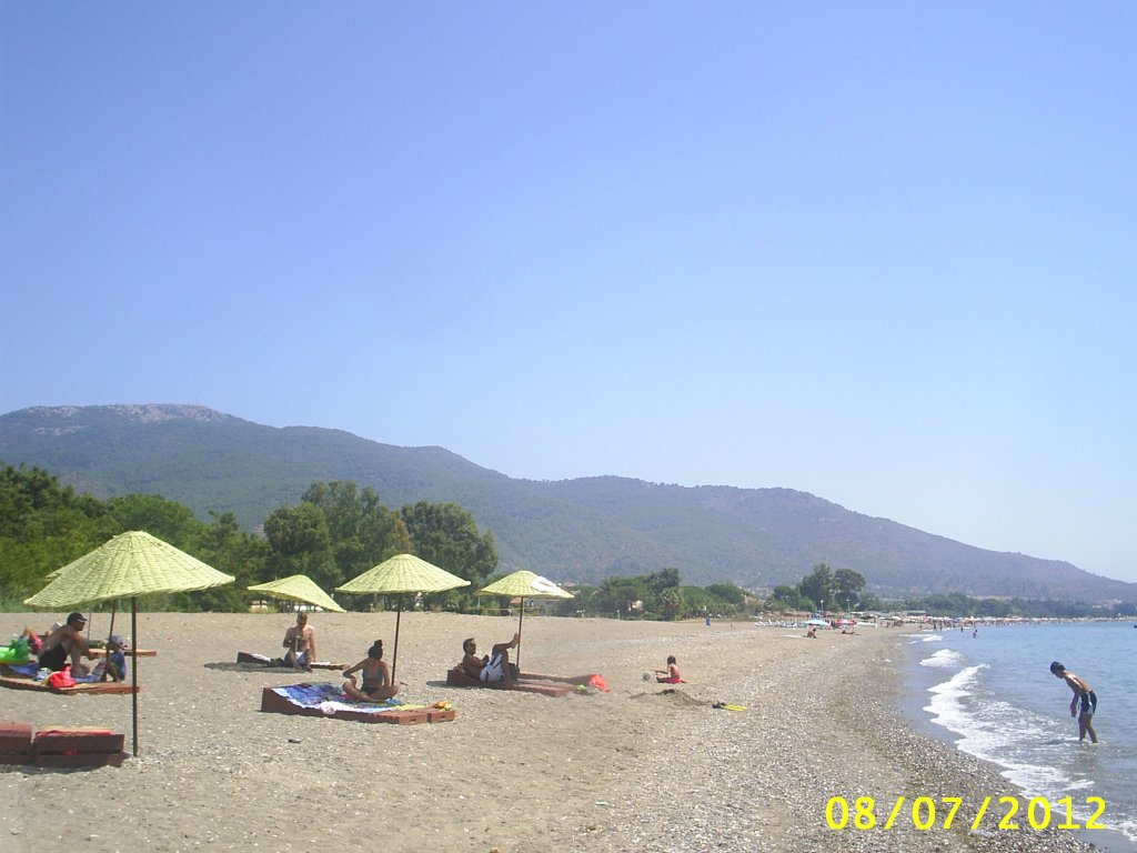 PIC_0156.JPG