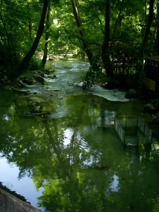 PIC_0220.jpg