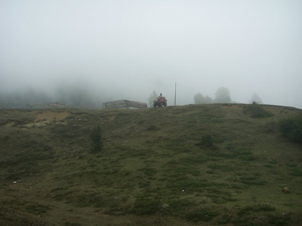 PIC_0347.jpg