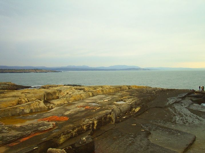 PIC_2660.jpg