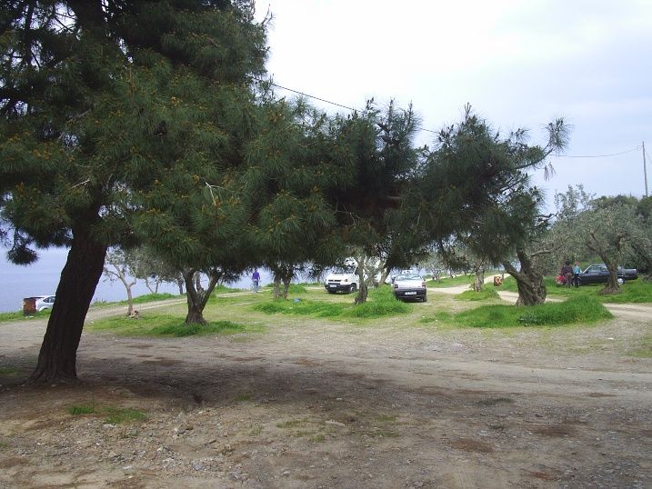 PIC_2765.jpg