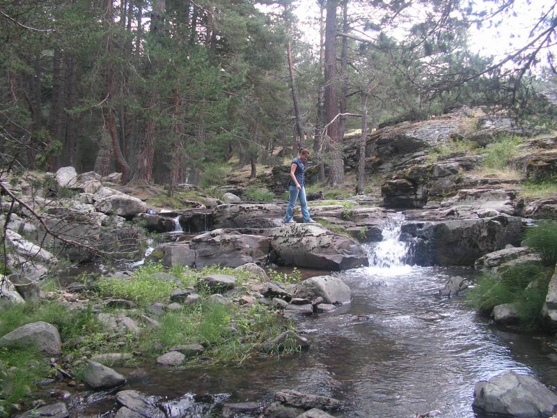 PICT0059.jpg
