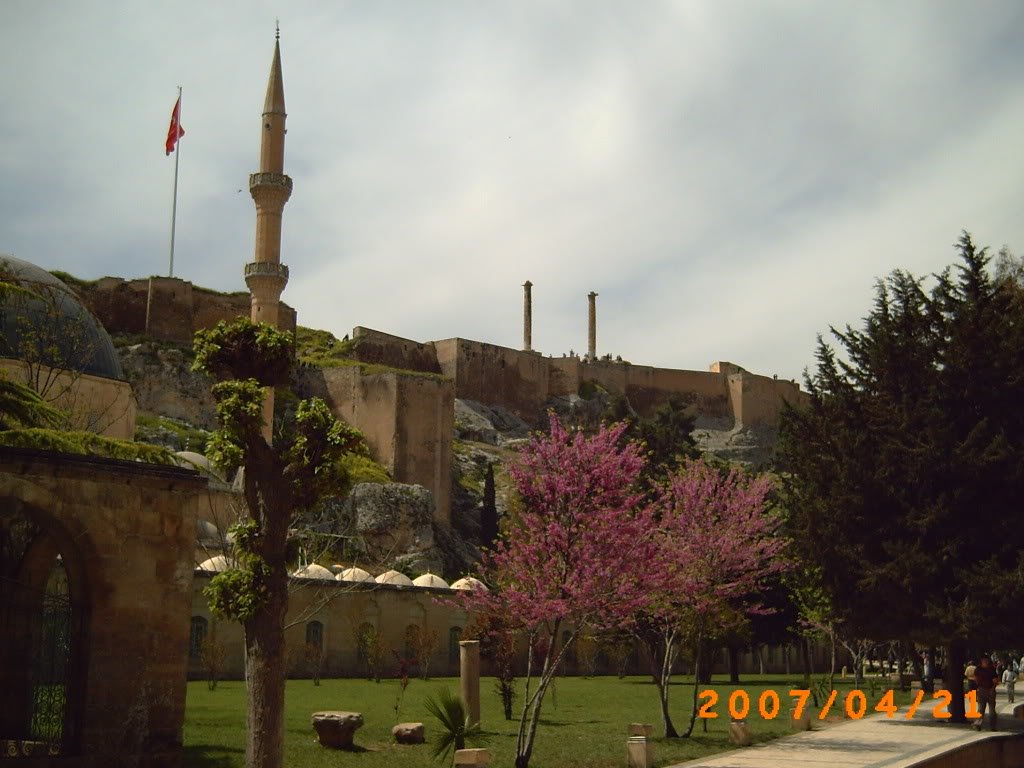 PICT0087.jpg