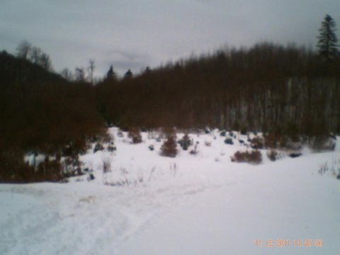 PICT0160.JPG