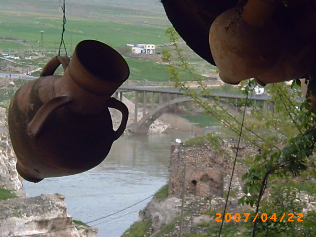 PICT0223.jpg