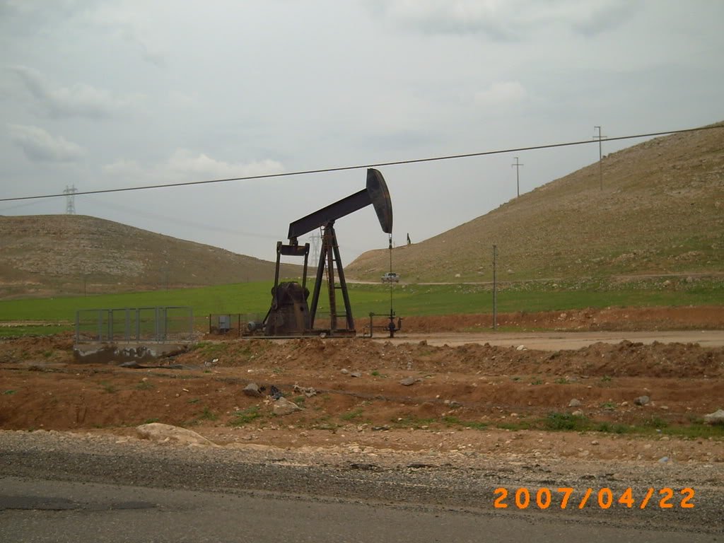 PICT0288.jpg
