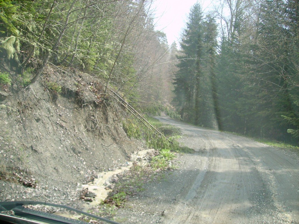 PICT0328.jpg